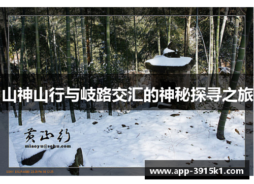 山神山行与岐路交汇的神秘探寻之旅